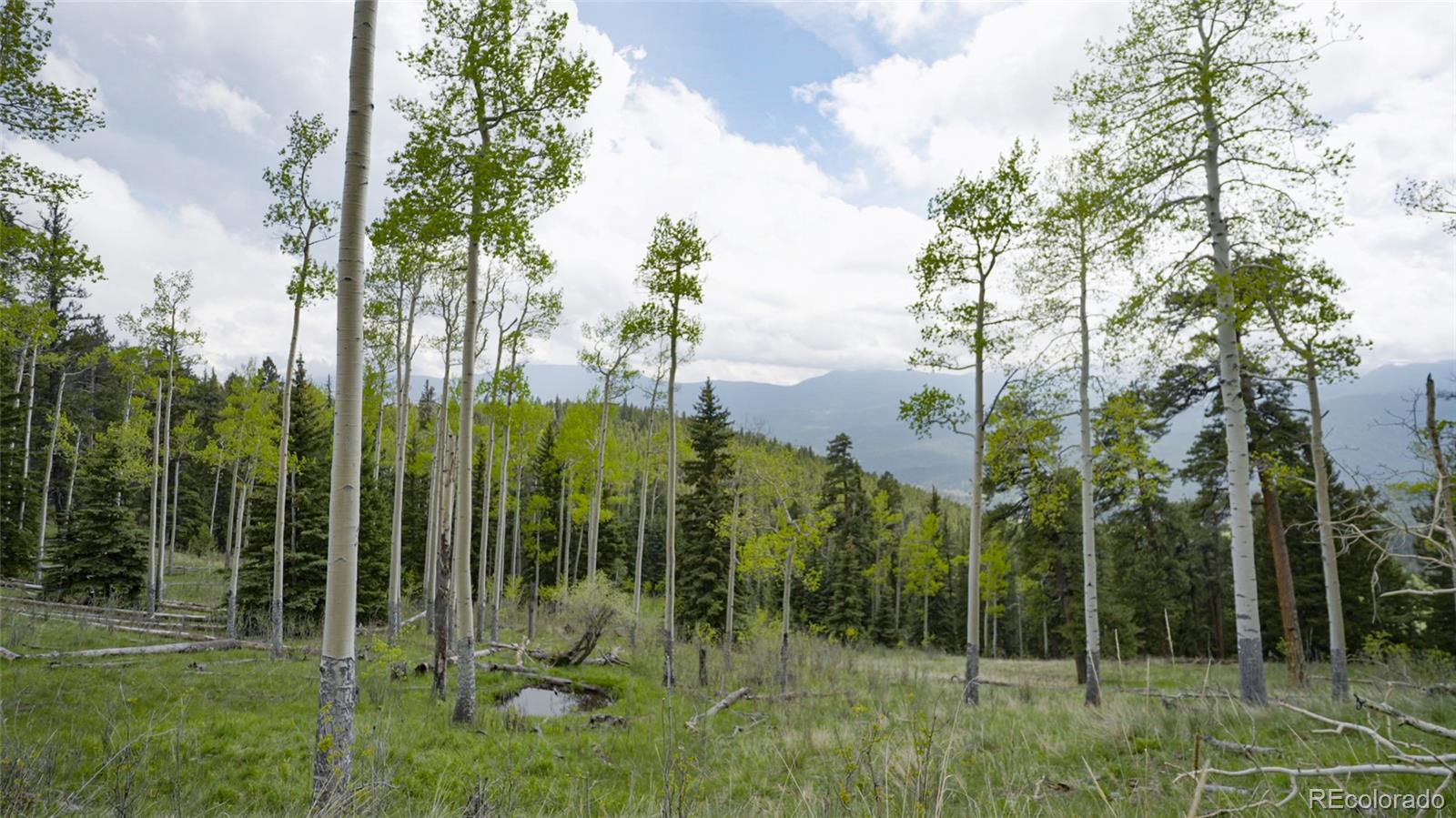 950 Corral Creek Road Evergreen CO 80439