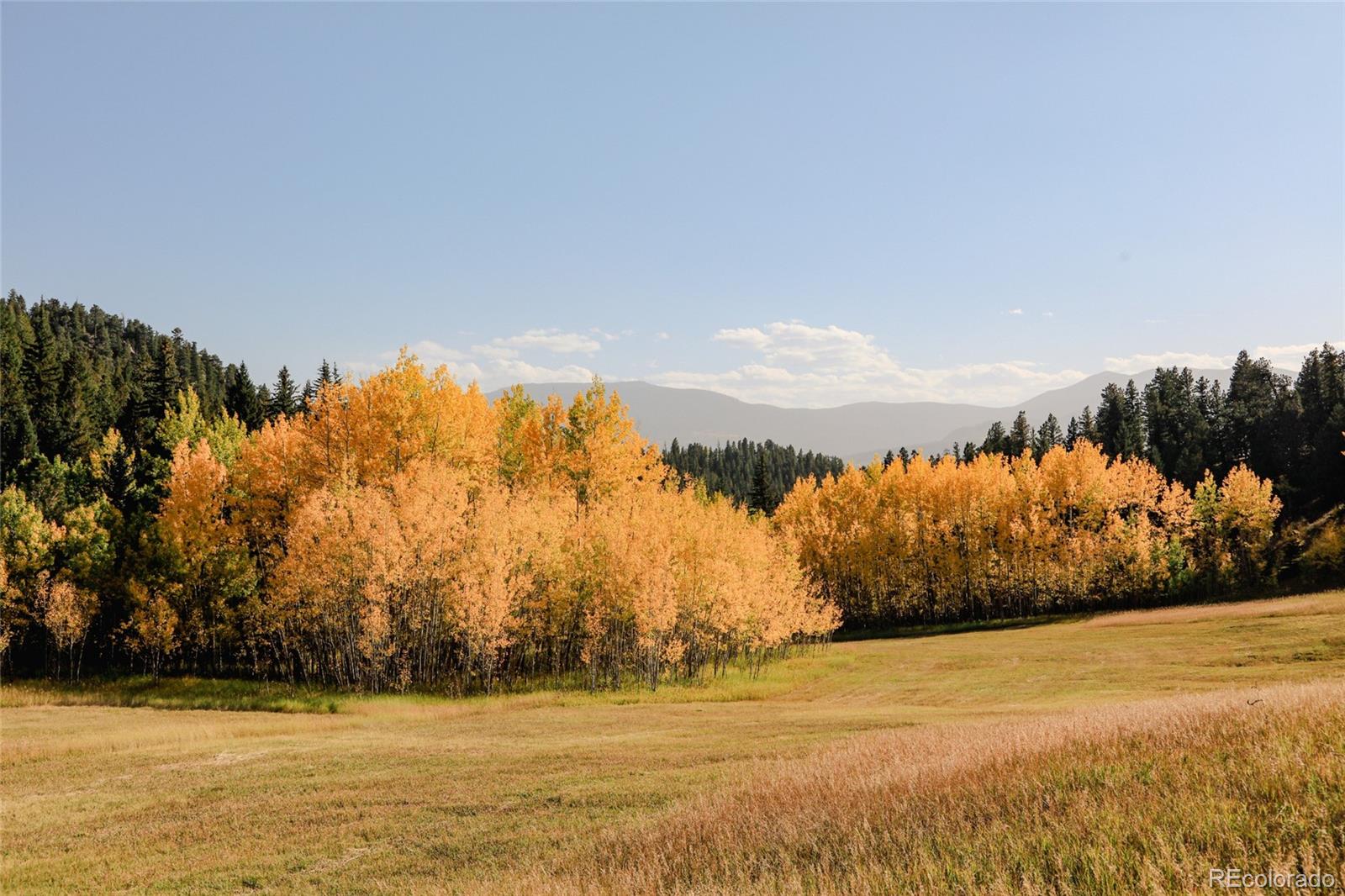 950 Corral Creek Road Evergreen CO 80439
