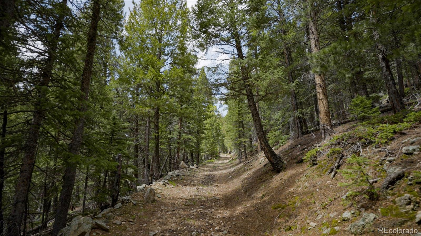950 Corral Creek Road Evergreen CO 80439