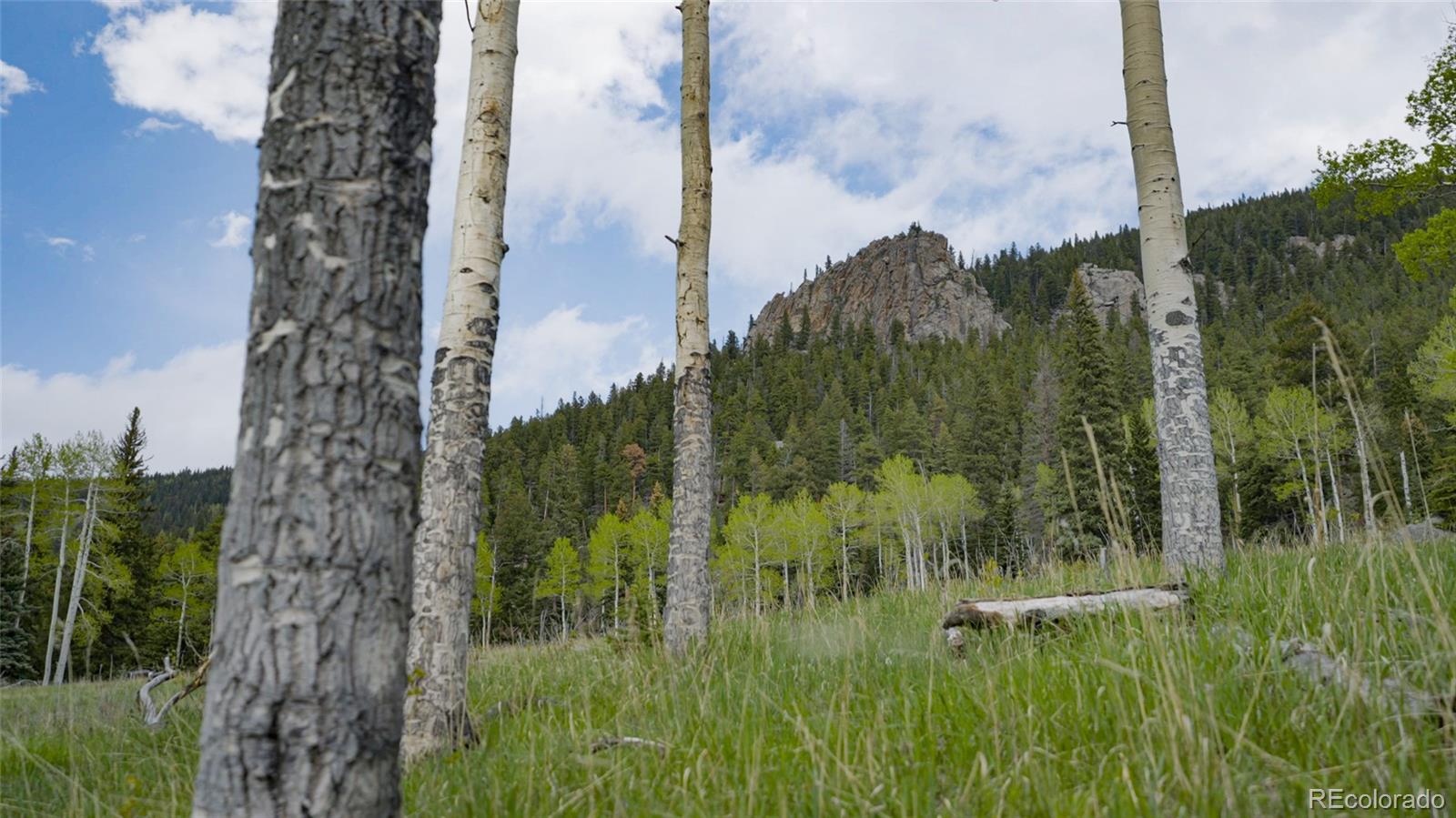 950 Corral Creek Road Evergreen CO 80439