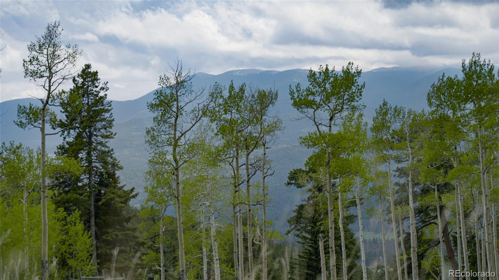 950 Corral Creek Road Evergreen CO 80439