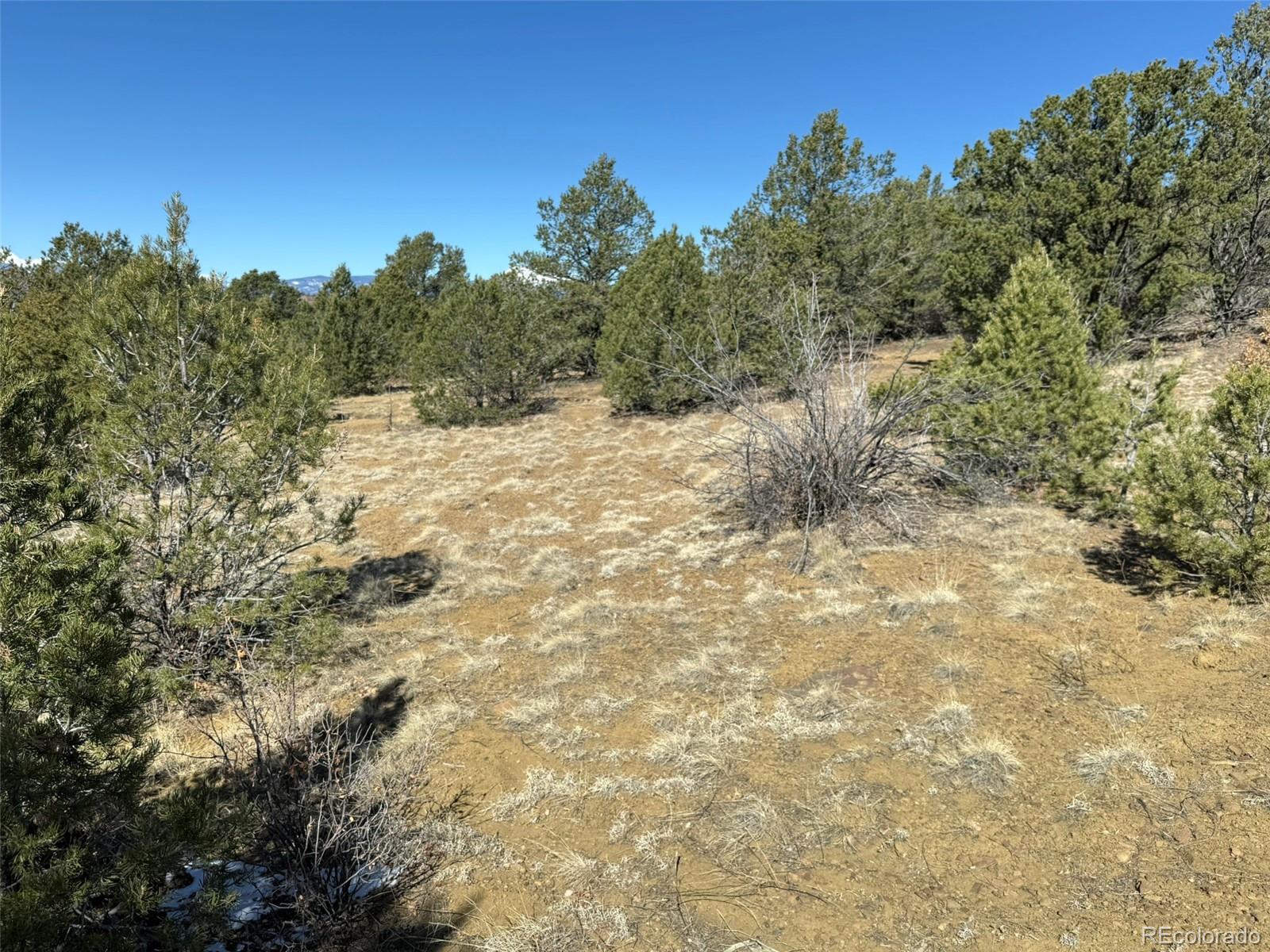 12222 Elk Run Road Trinidad CO 81082
