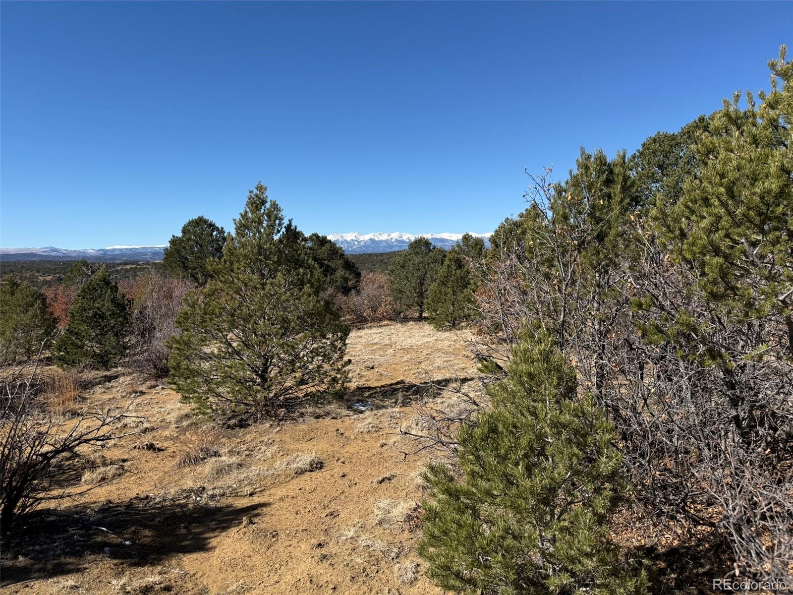 12222 Elk Run Road Trinidad CO 81082