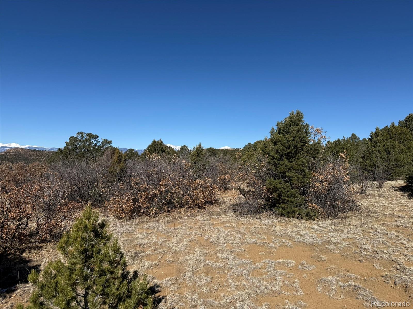 12222 Elk Run Road Trinidad CO 81082