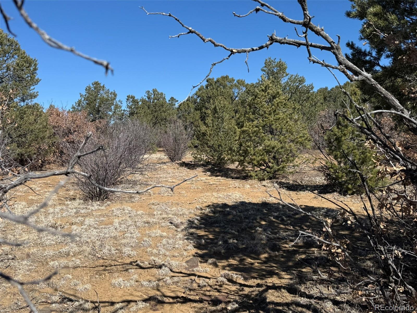 12222 Elk Run Road Trinidad CO 81082