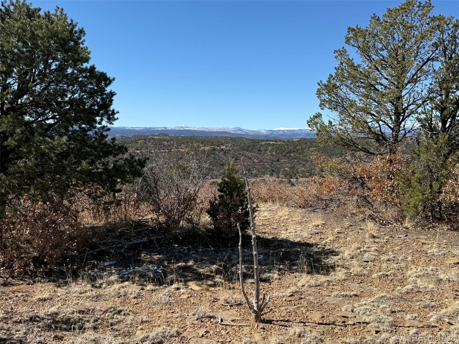 12222 Elk Run Road Trinidad CO 81082