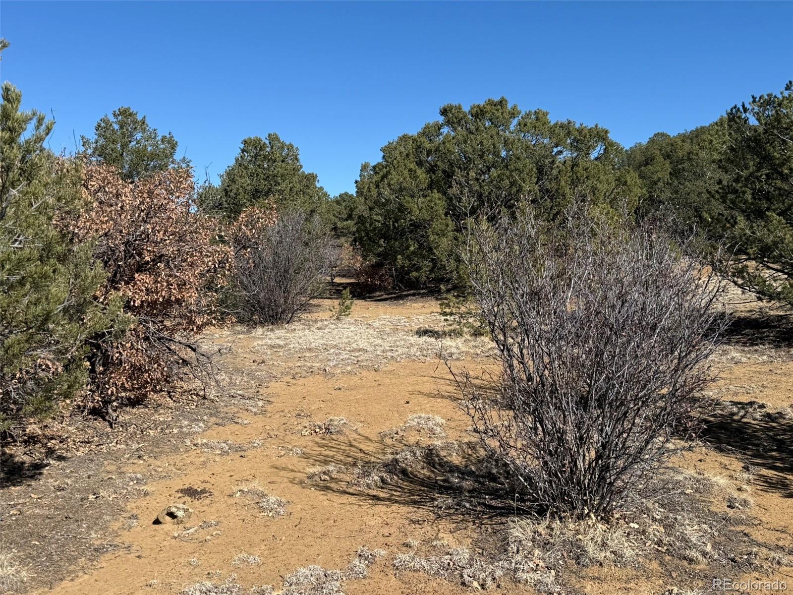 12222 Elk Run Road Trinidad CO 81082