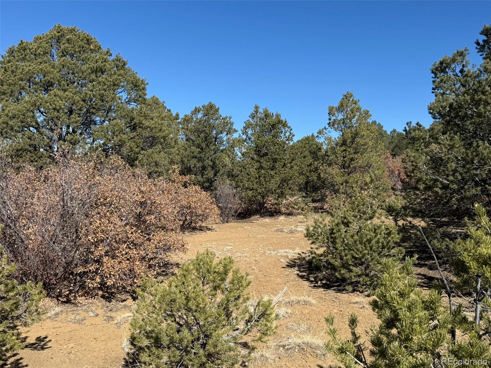 12222 Elk Run Road Trinidad CO 81082