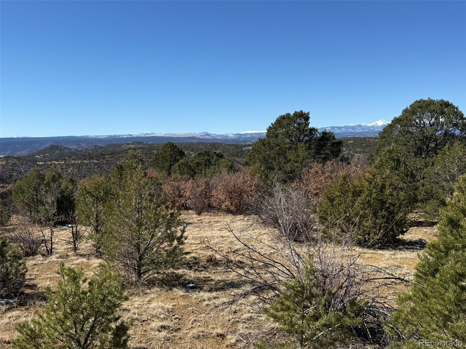 12222 Elk Run Road Trinidad CO 81082