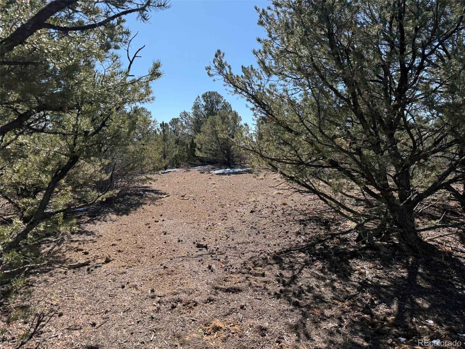 12222 Elk Run Road Trinidad CO 81082