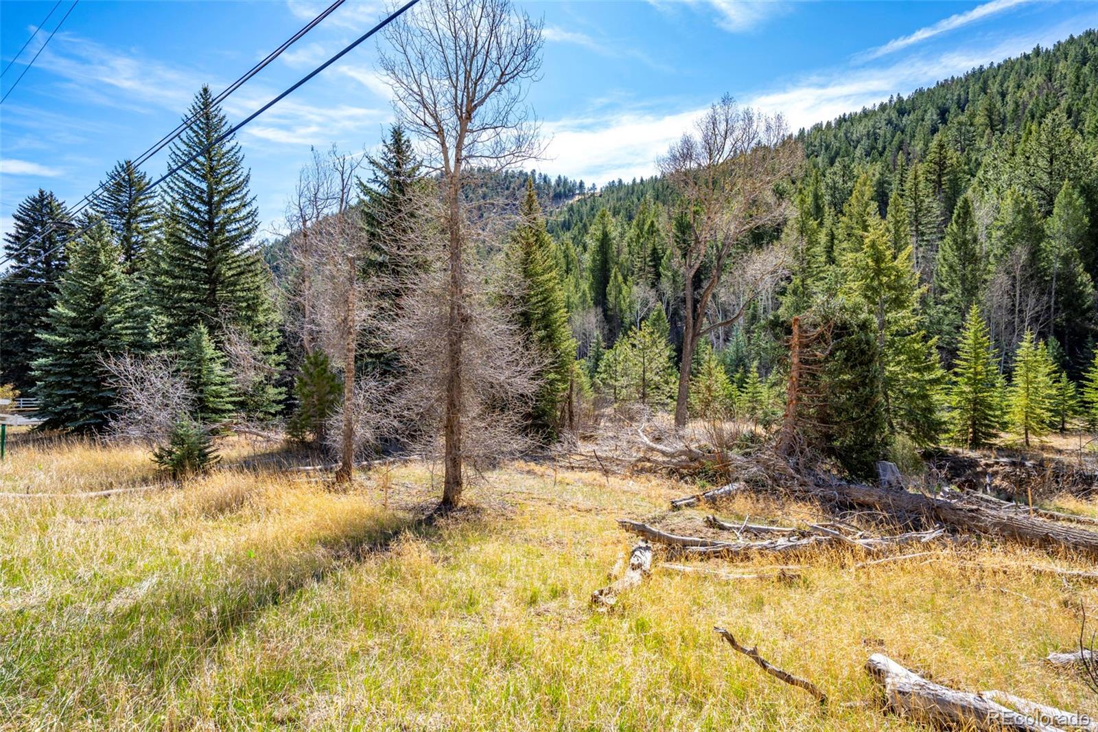 1851 Highway 103 Idaho Springs CO 80452