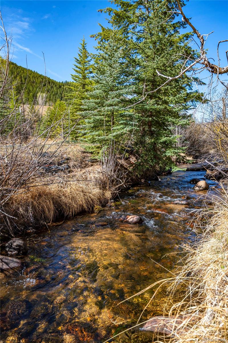 1851 Highway 103 Idaho Springs CO 80452