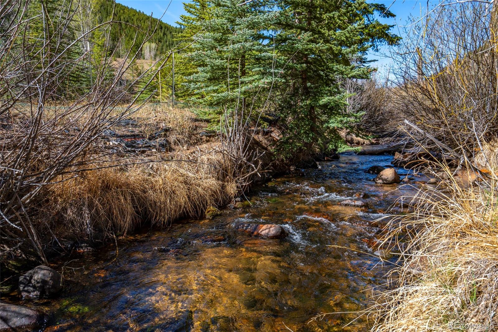 1851 Highway 103 Idaho Springs CO 80452