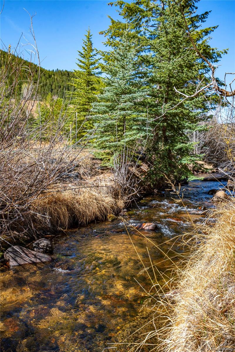 1851 Highway 103 Idaho Springs CO 80452