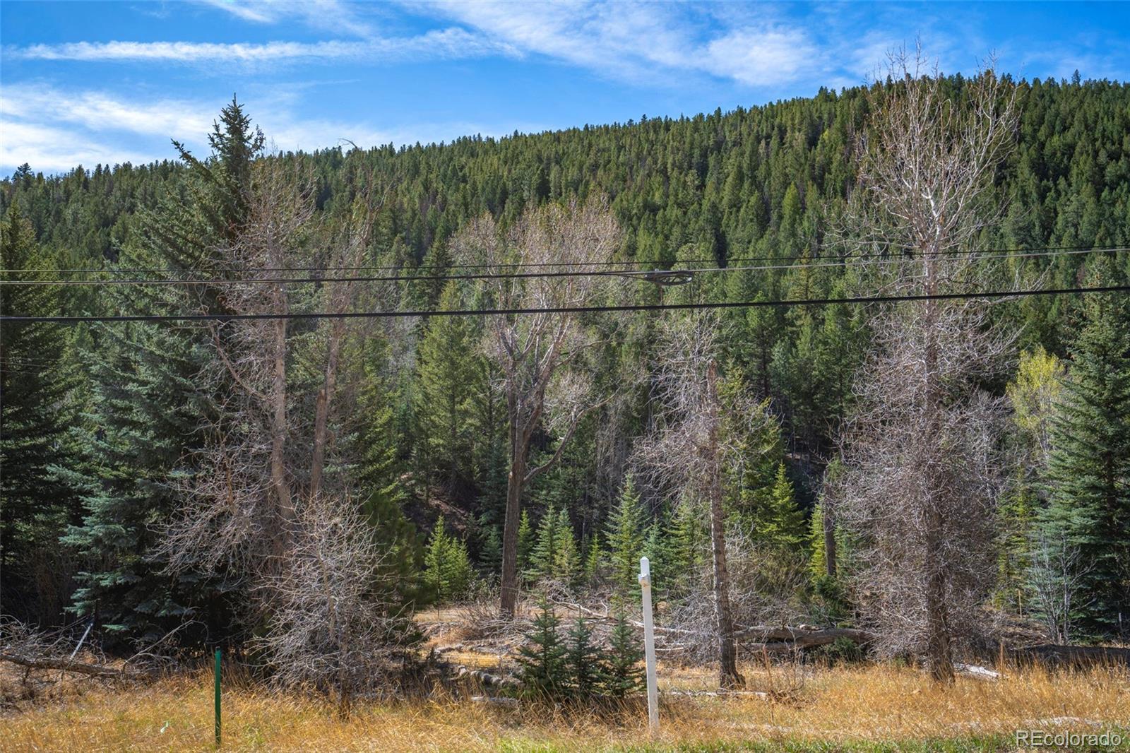 1851 Highway 103 Idaho Springs CO 80452