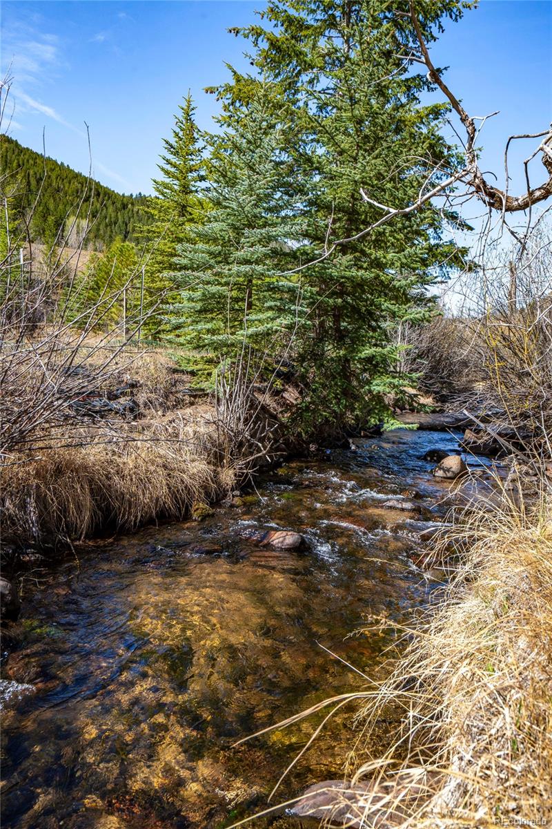 1851 Highway 103 Idaho Springs CO 80452