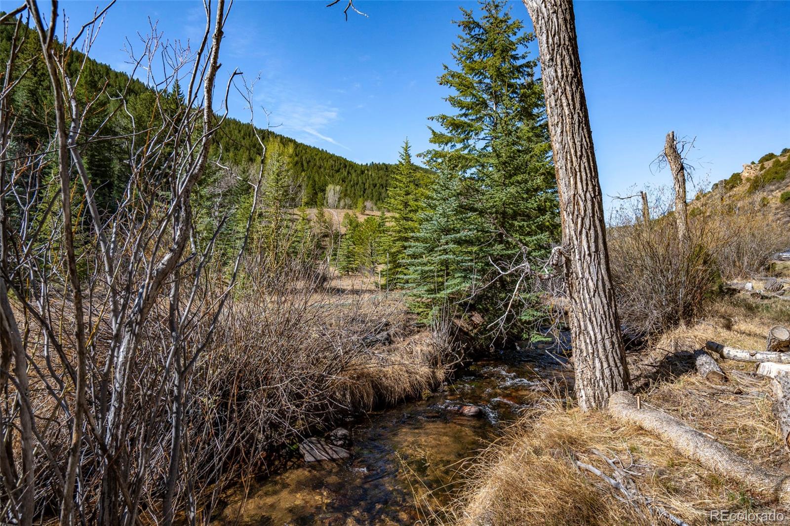 1851 Highway 103 Idaho Springs CO 80452