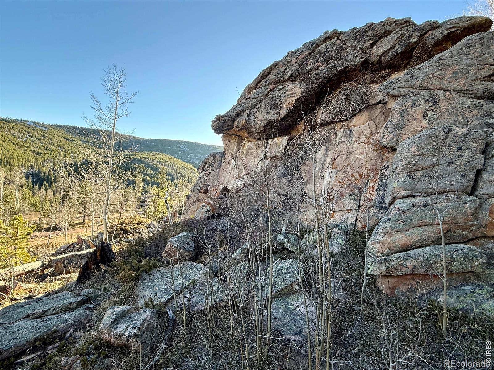 227 Micmac Drive Red Feather Lakes CO 80545