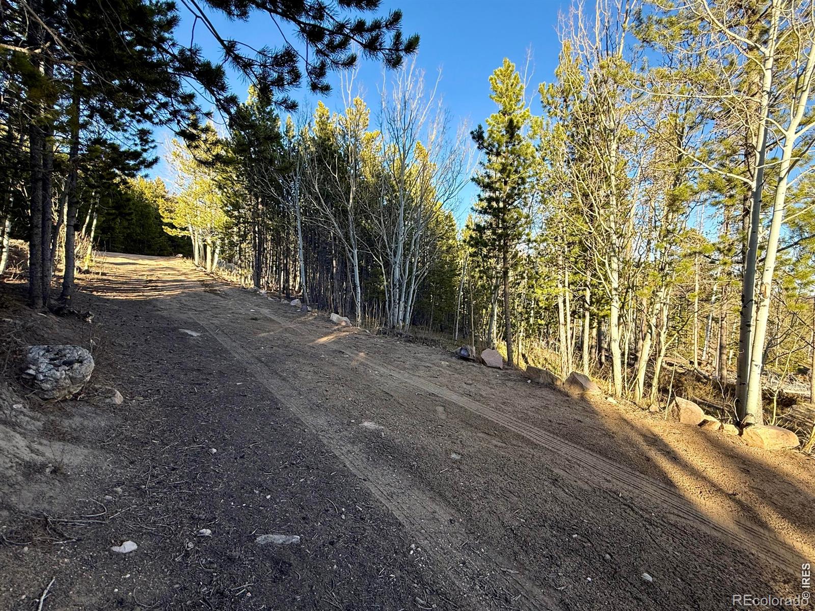 227 Micmac Drive Red Feather Lakes CO 80545