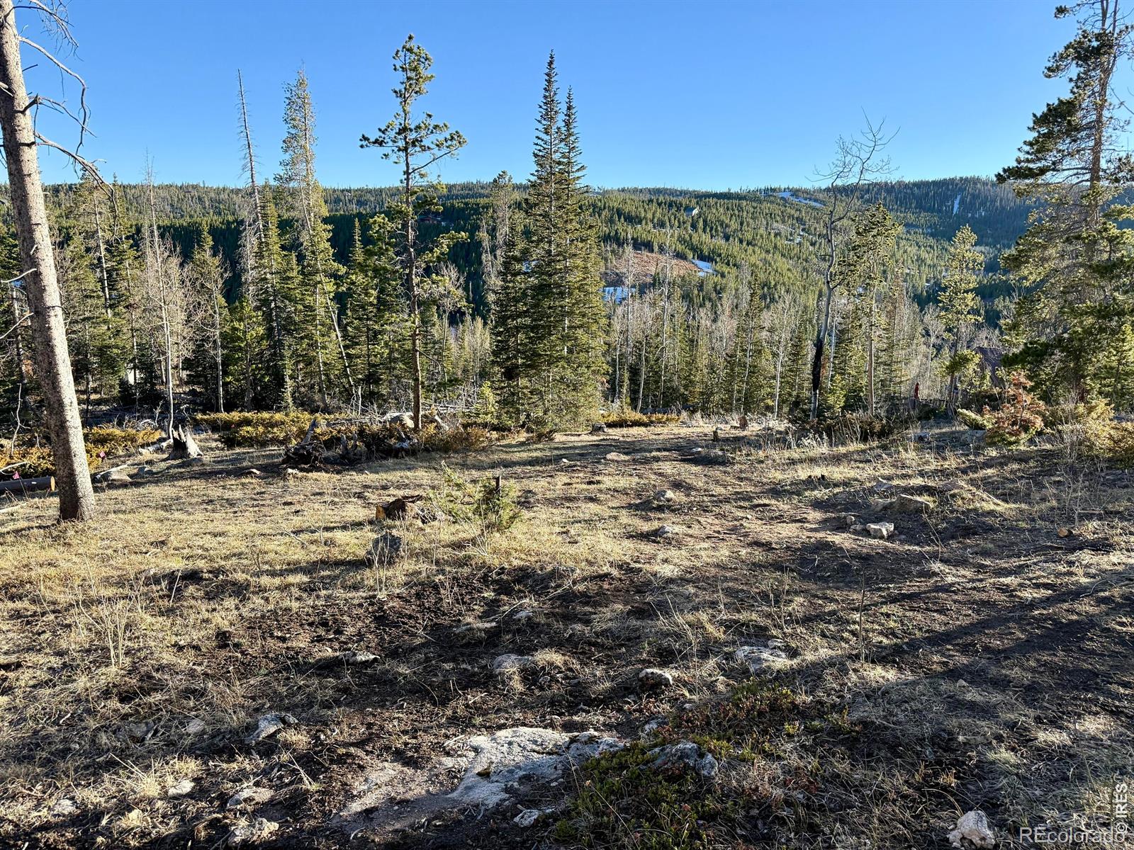 227 Micmac Drive Red Feather Lakes CO 80545
