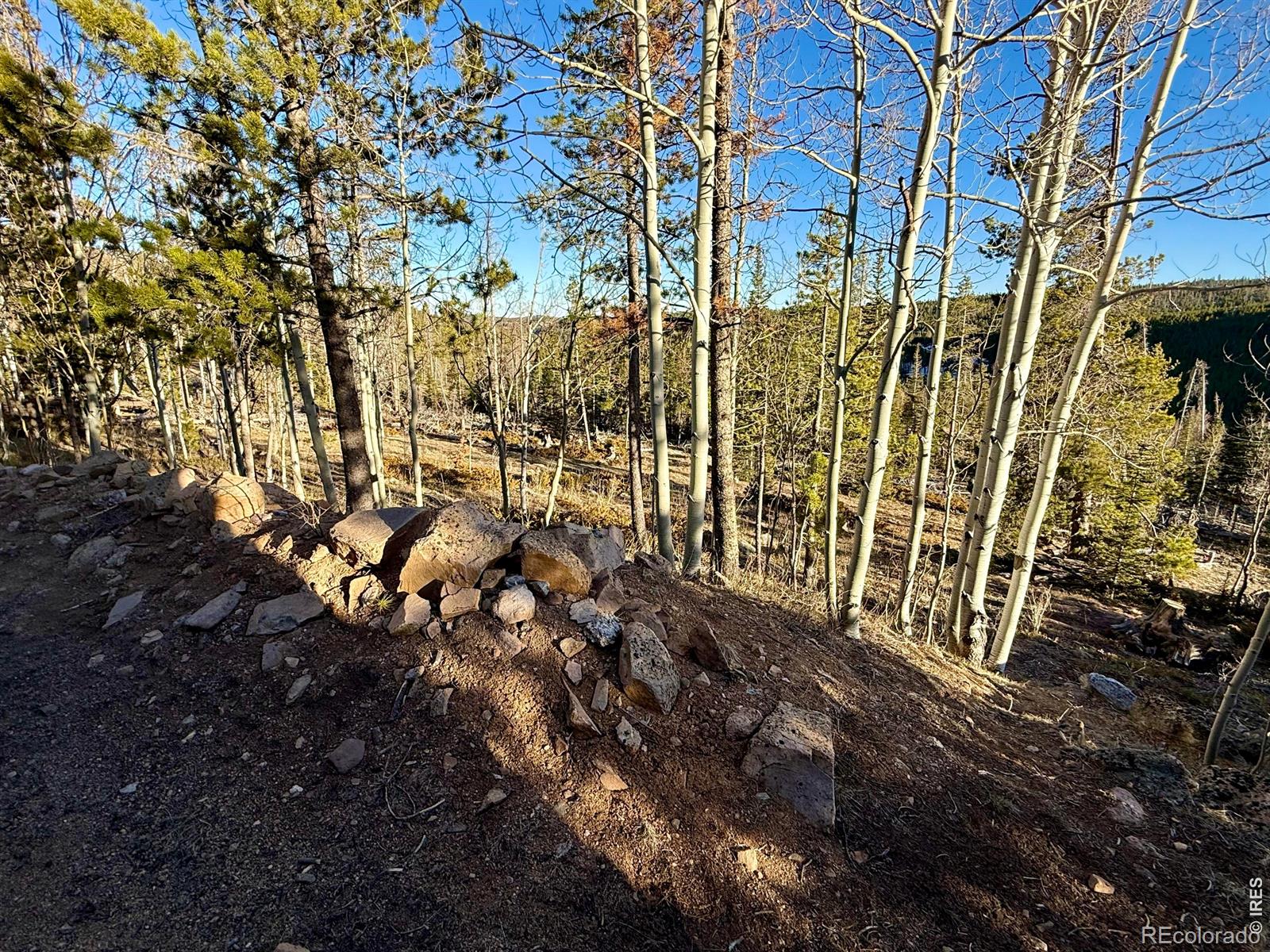 227 Micmac Drive Red Feather Lakes CO 80545