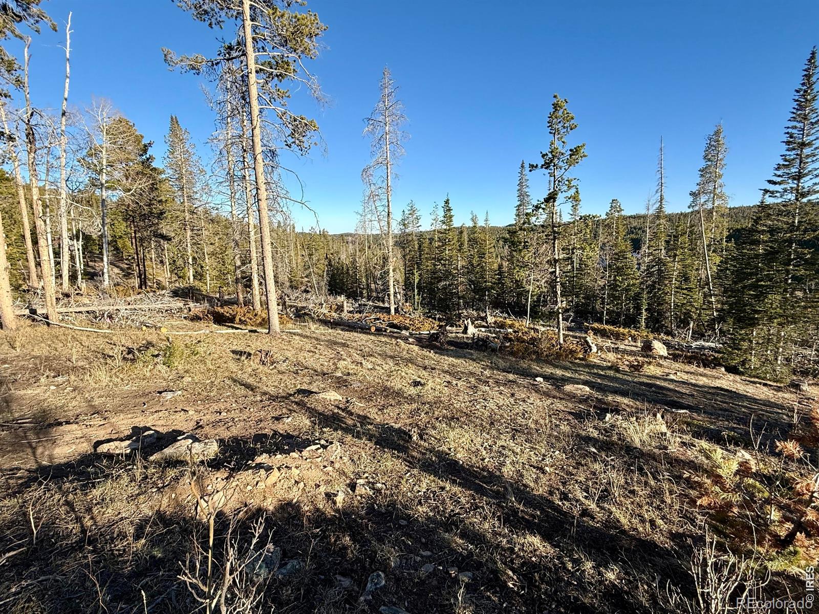 227 Micmac Drive Red Feather Lakes CO 80545