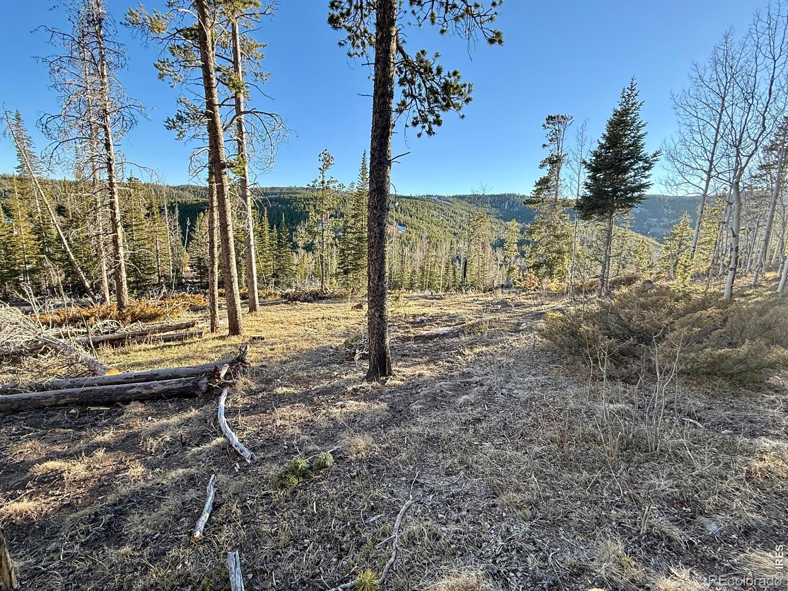 227 Micmac Drive Red Feather Lakes CO 80545