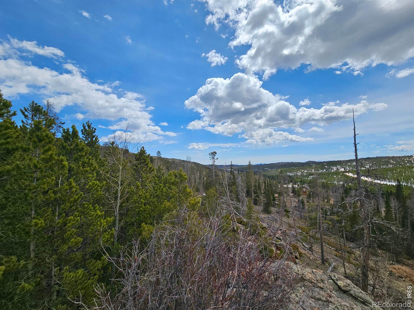 227 Micmac Drive Red Feather Lakes CO 80545