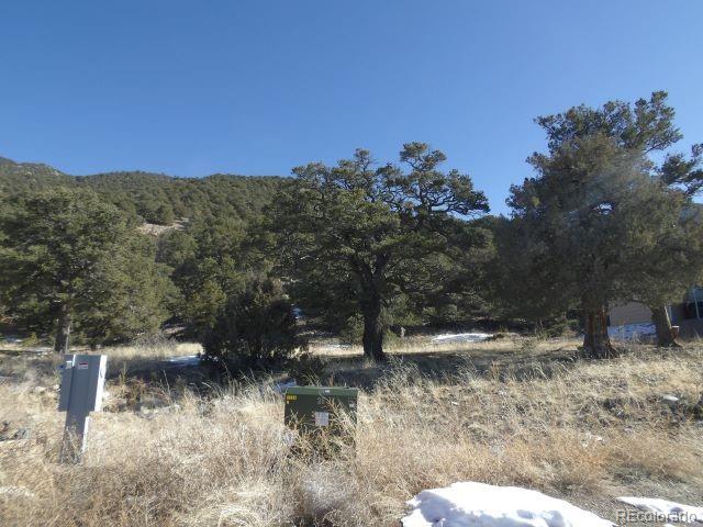 4317 Serene Way Crestone CO 81131