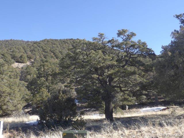 4317 Serene Way Crestone CO 81131