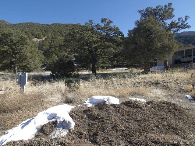 4317 Serene Way Crestone CO 81131