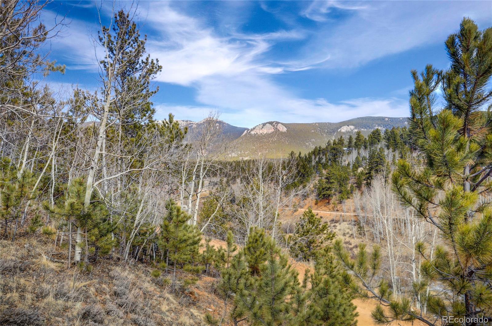 147 Ward Street Bailey CO 80421
