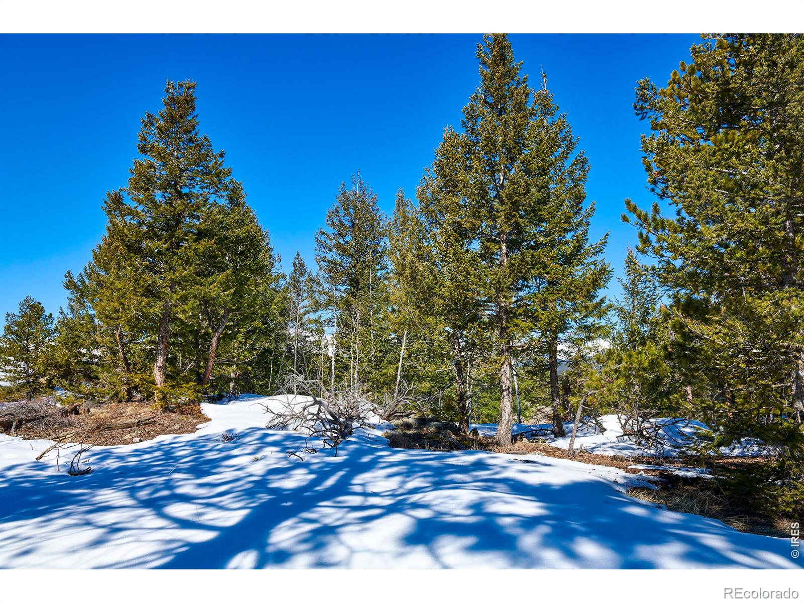 815 Cougar Run Nederland CO 80466
