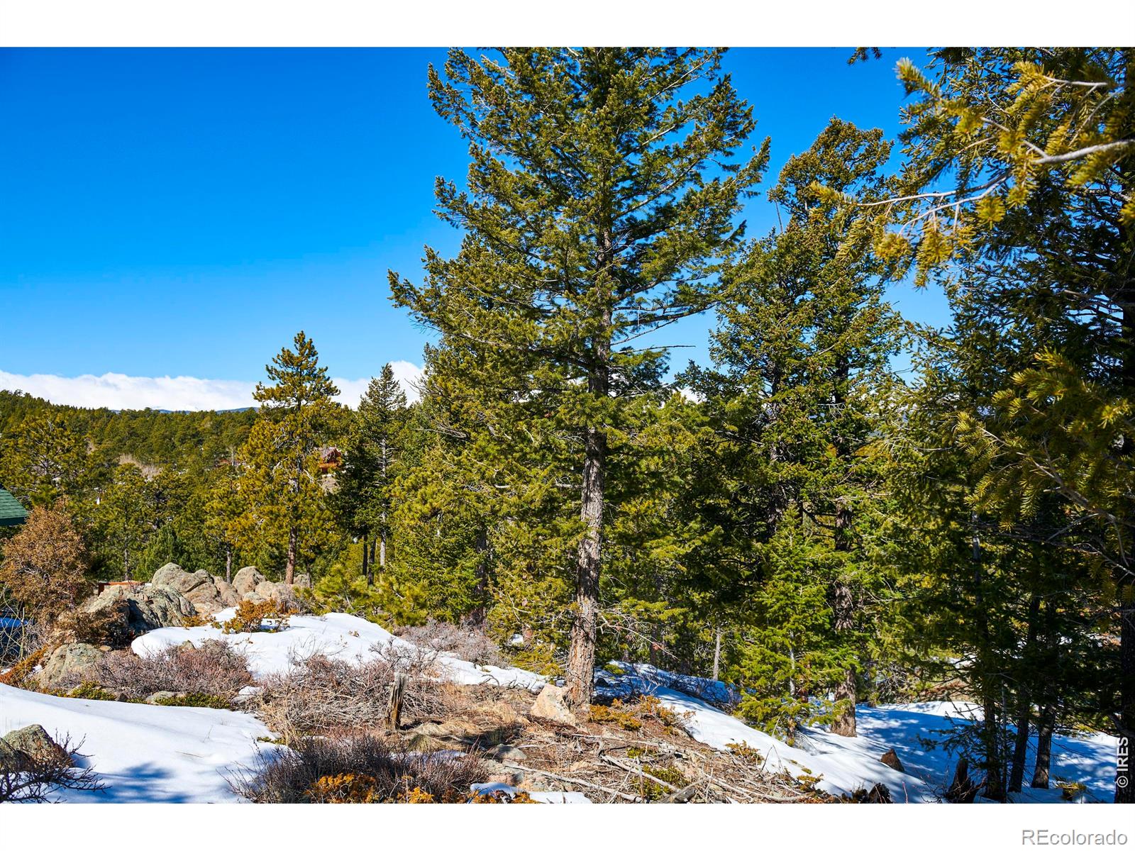 815 Cougar Run Nederland CO 80466