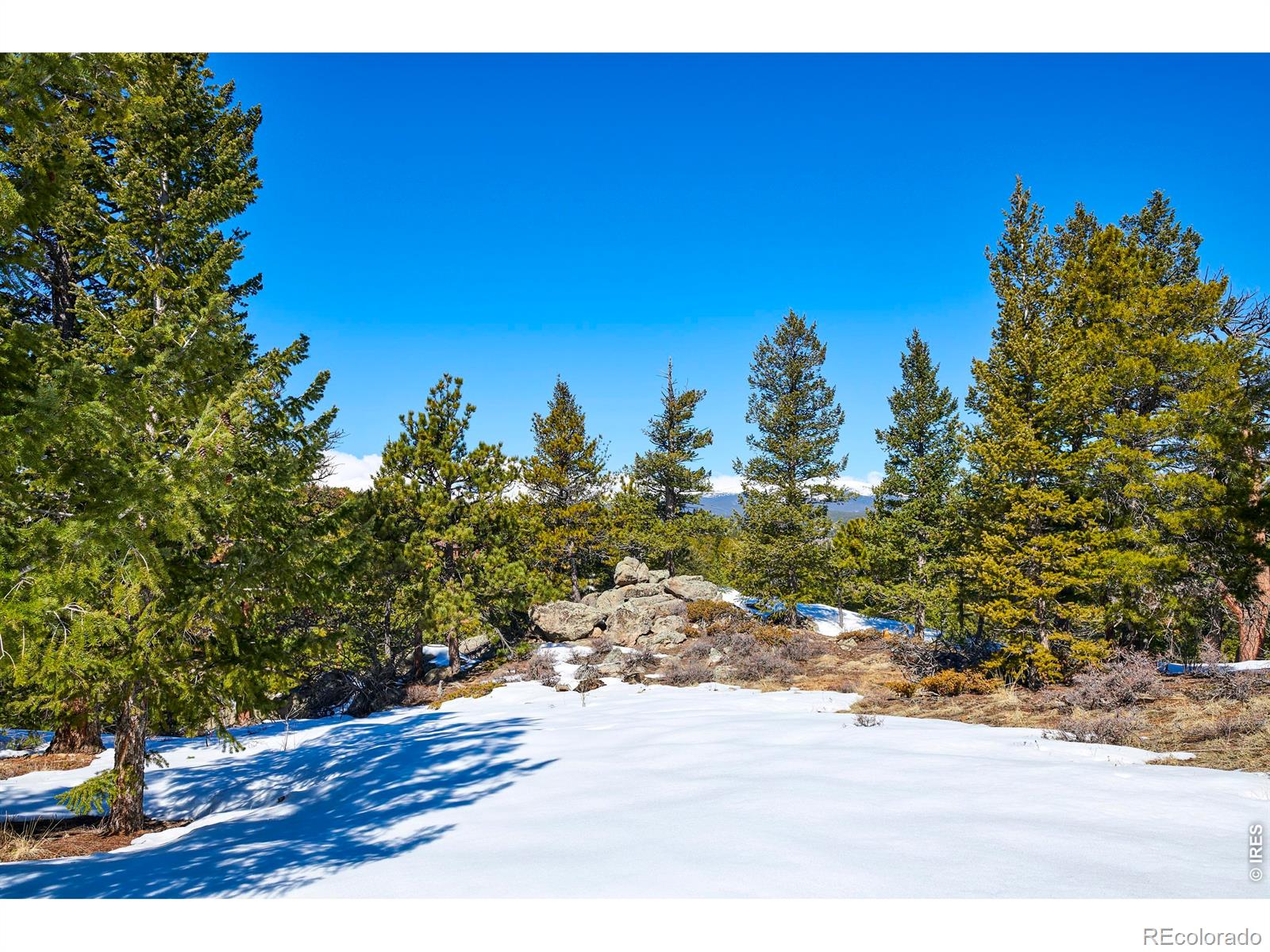 815 Cougar Run Nederland CO 80466