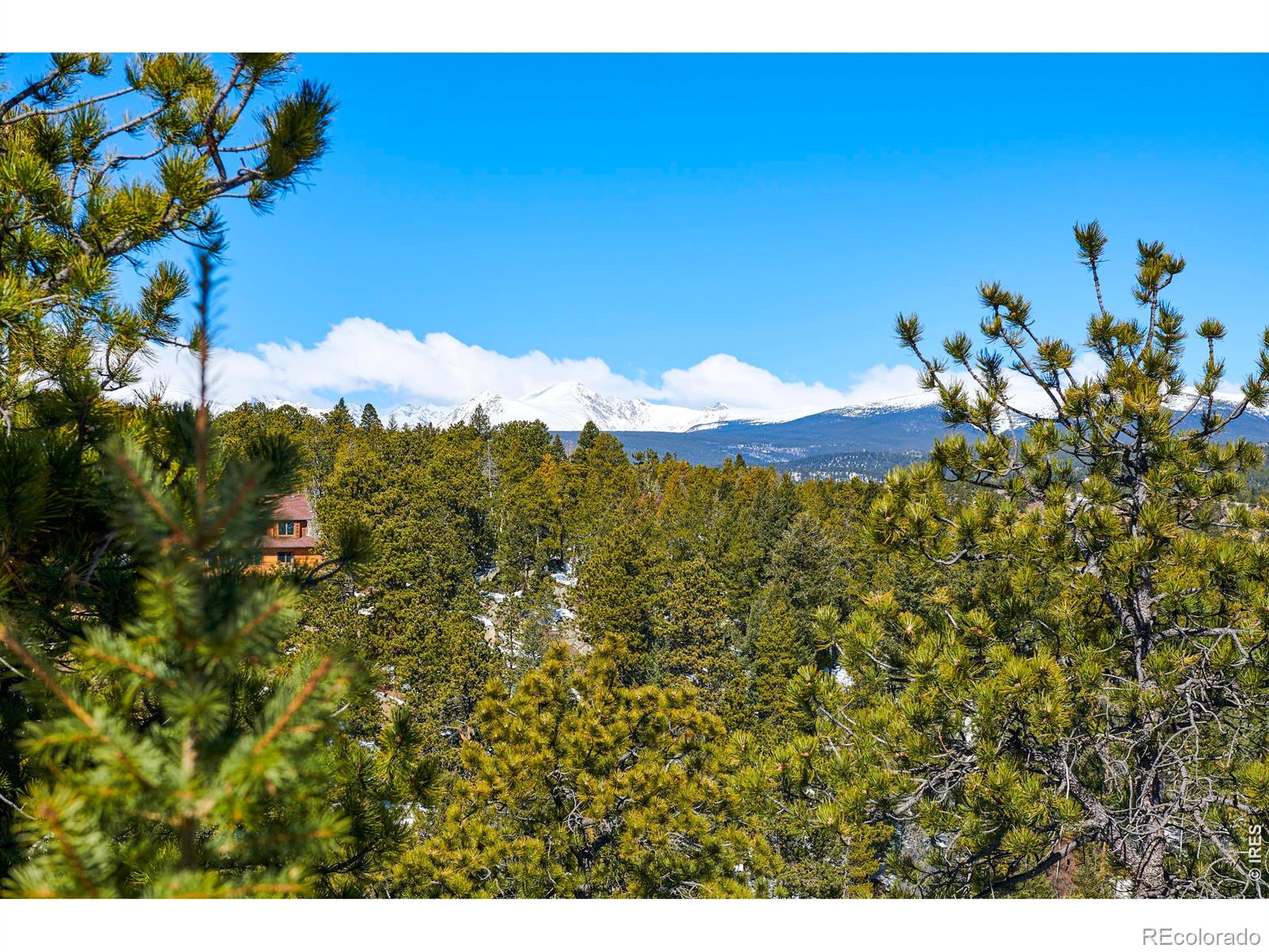 815 Cougar Run Nederland CO 80466