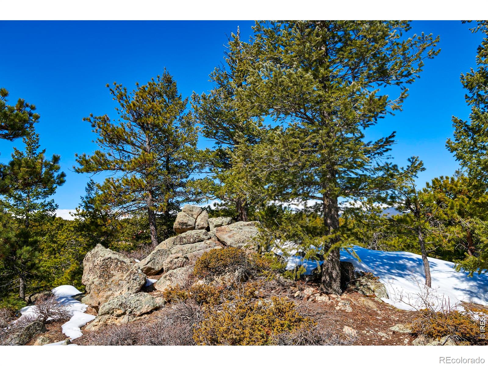 815 Cougar Run Nederland CO 80466