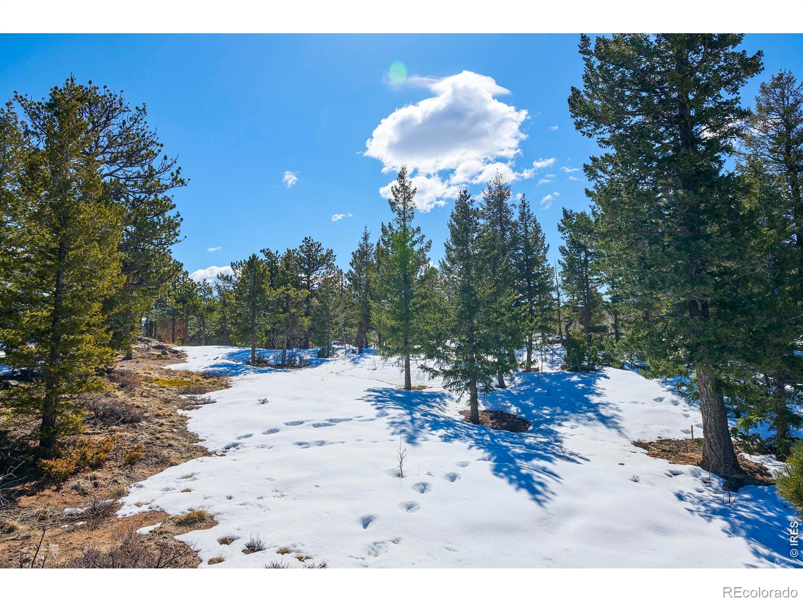 815 Cougar Run Nederland CO 80466