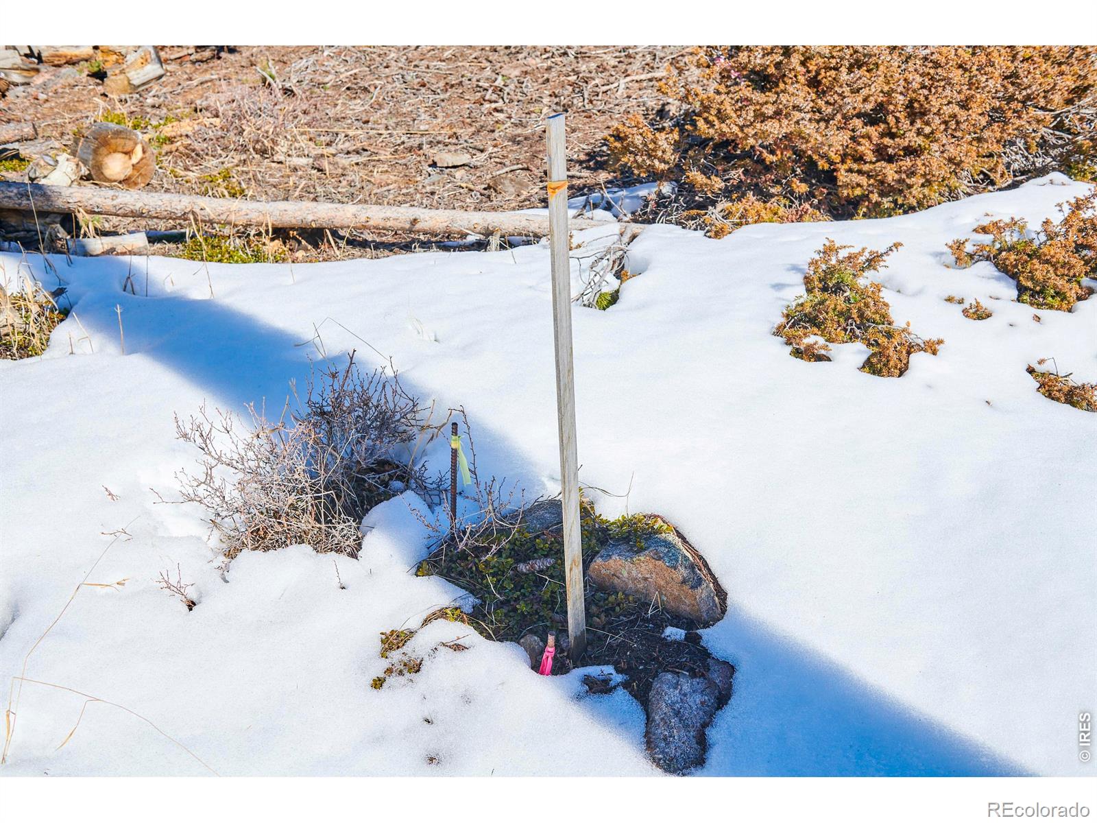 815 Cougar Run Nederland CO 80466