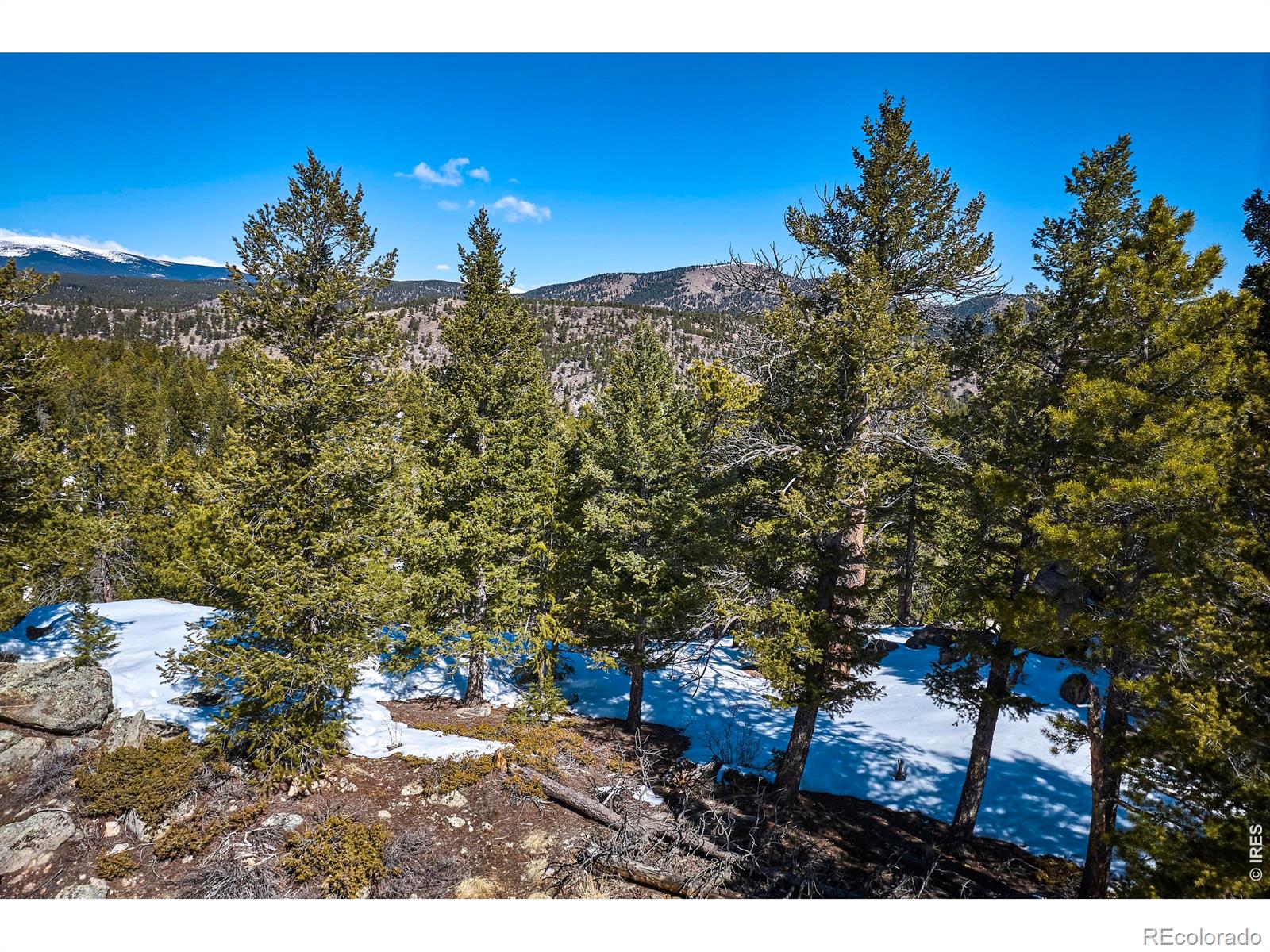 815 Cougar Run Nederland CO 80466