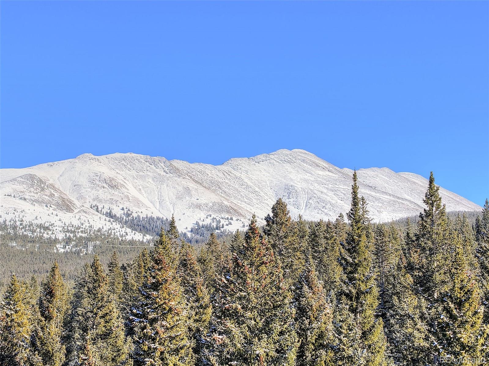 3362 Boreas Pass Road Breckenridge CO 80424