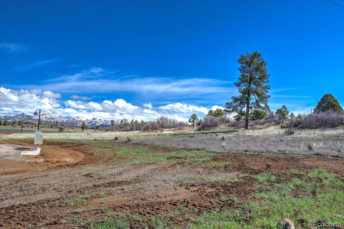 1234 Scenic Avenue Pagosa Springs CO 81147
