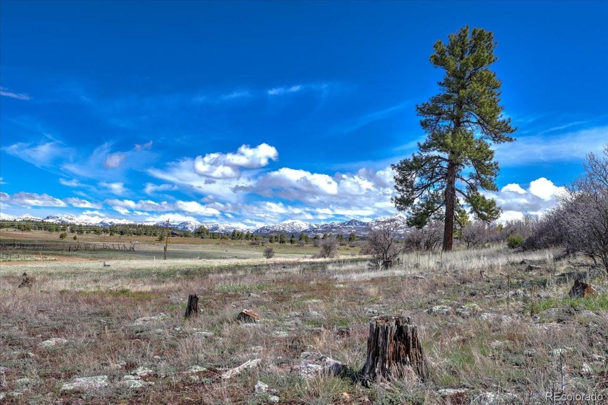1234 Scenic Avenue Pagosa Springs CO 81147