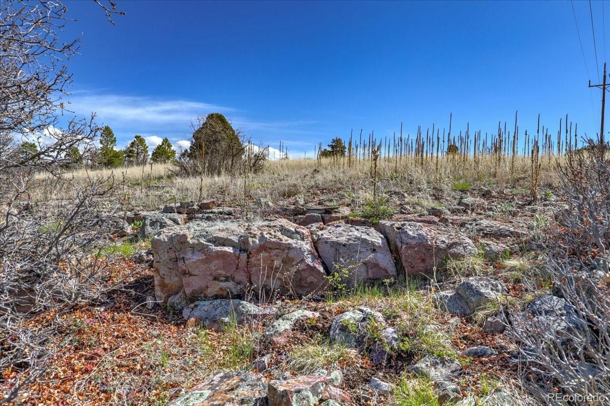 1234 Scenic Avenue Pagosa Springs CO 81147