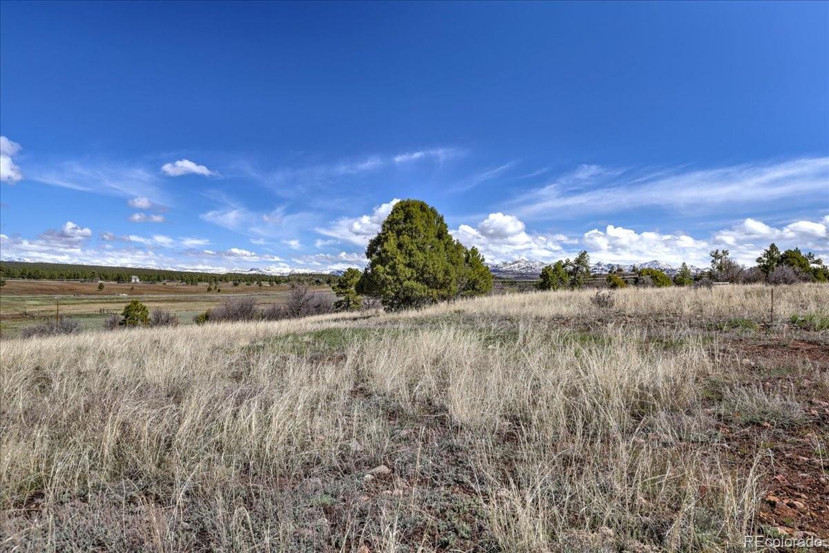 1234 Scenic Avenue Pagosa Springs CO 81147