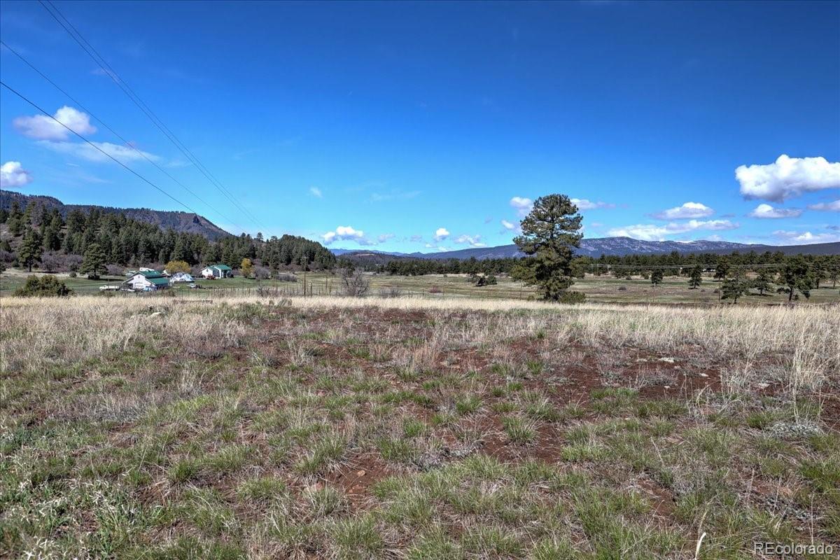 1234 Scenic Avenue Pagosa Springs CO 81147