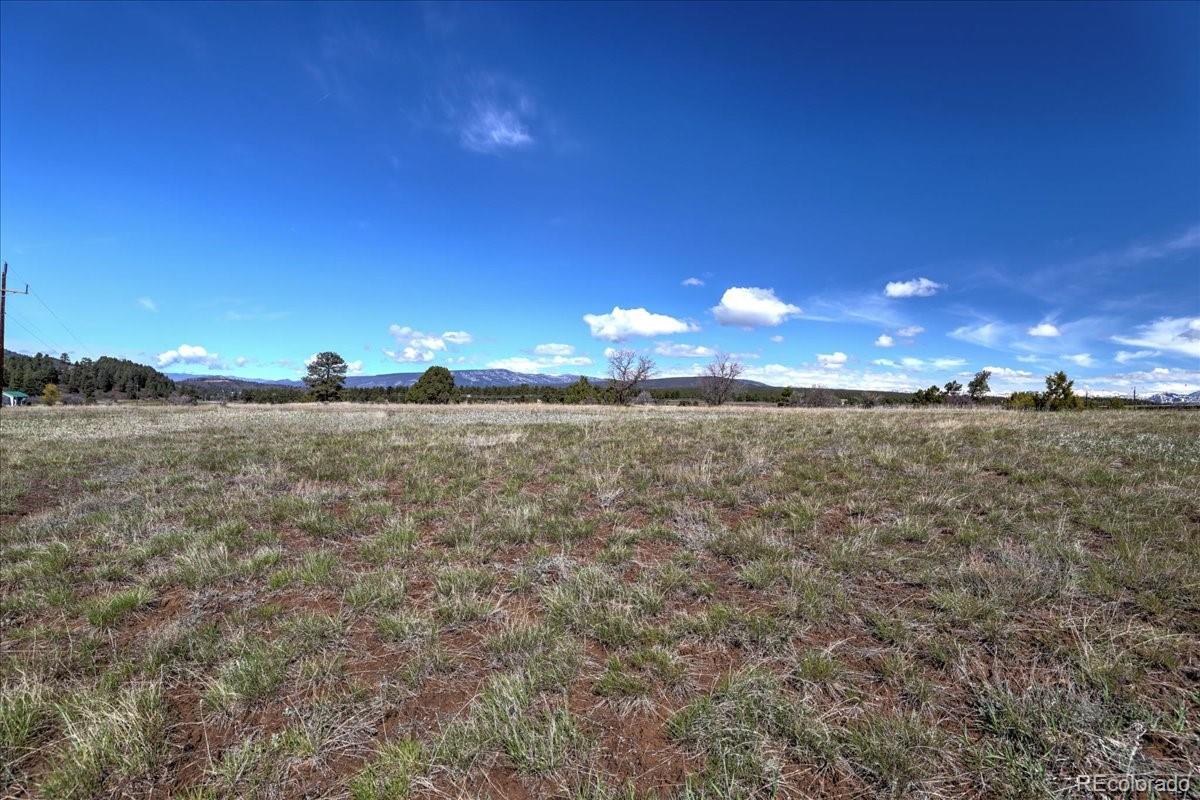 1234 Scenic Avenue Pagosa Springs CO 81147