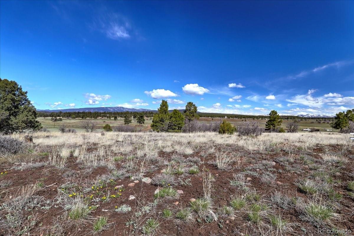 1234 Scenic Avenue Pagosa Springs CO 81147