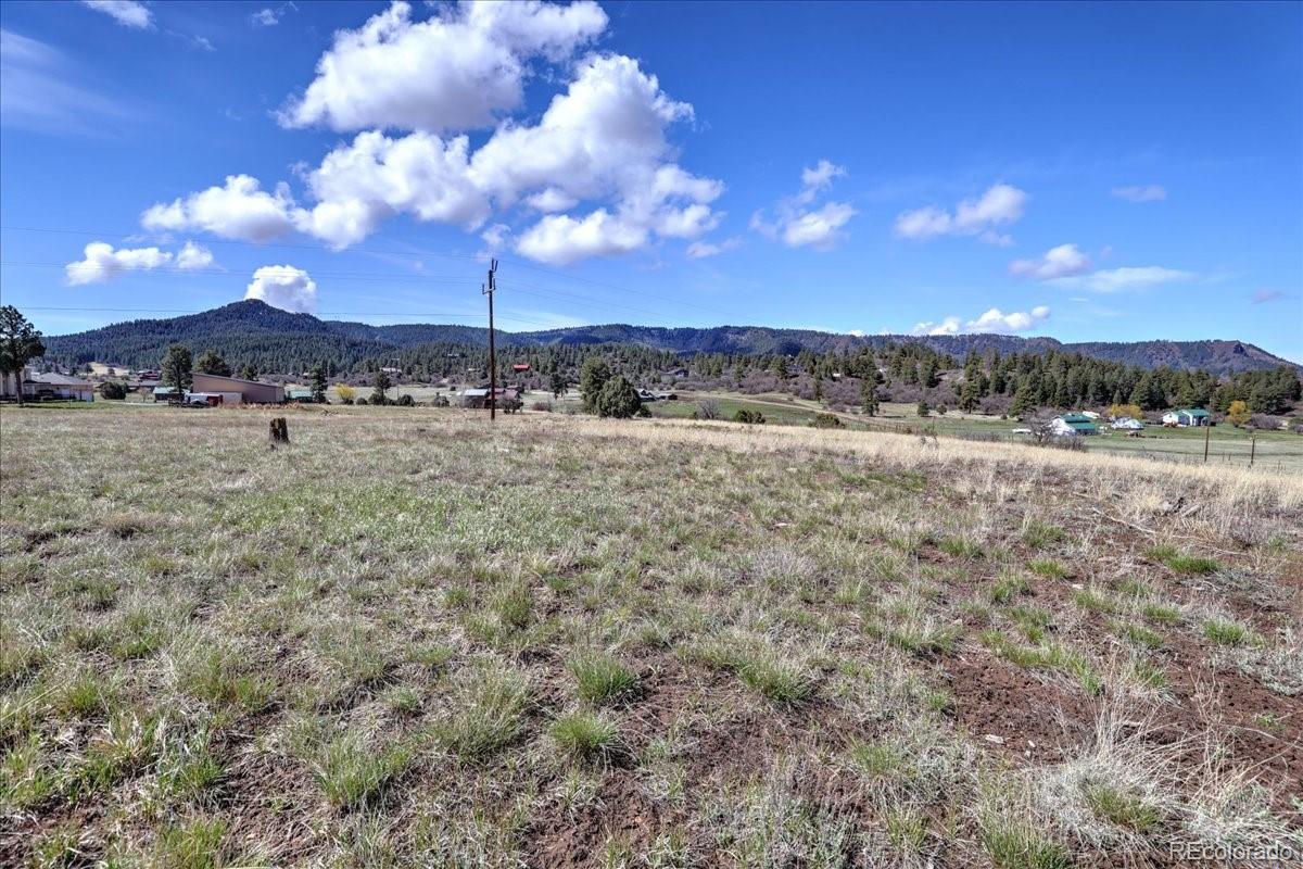 1234 Scenic Avenue Pagosa Springs CO 81147