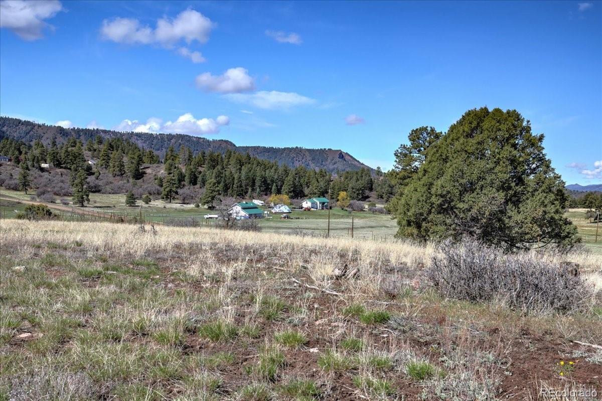 1234 Scenic Avenue Pagosa Springs CO 81147